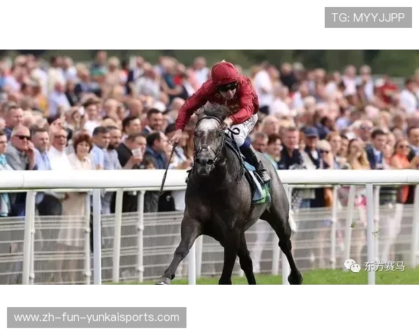 2018重点足球赛事（2018年足球赛事一览表）sports